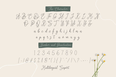 Cashman Font Forberas 