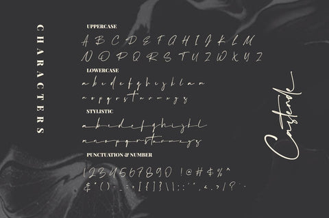 Castende - Signature Script Font Font Vultype Co 