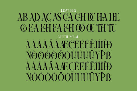 CASTHELO Typeface Font Storytype Studio 