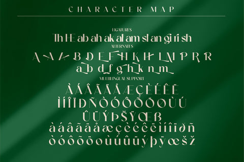 Castle Begale Typeface Font Storytype Studio 