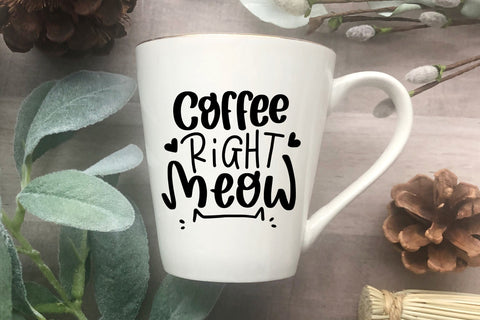 Cat Lover SVG Bundle SVG dapiyupi store 