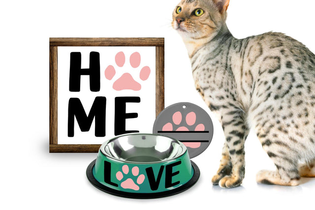 Cat Paw Print SVG Set SVG Designed by Geeks 