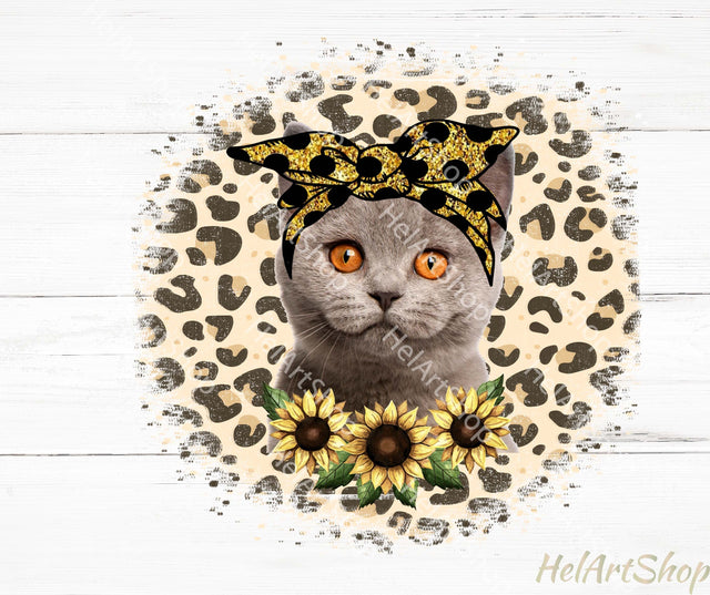Cat Png, Sublimation Png, Cat Bandana Png Sublimation _HelArtShop_ 