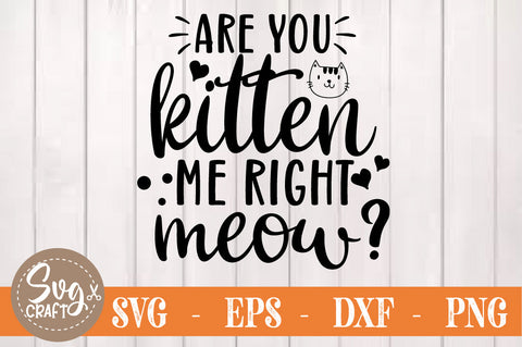 Cat Quotes SVG Bundle, Cat svg cut file SVG Svgcraft 
