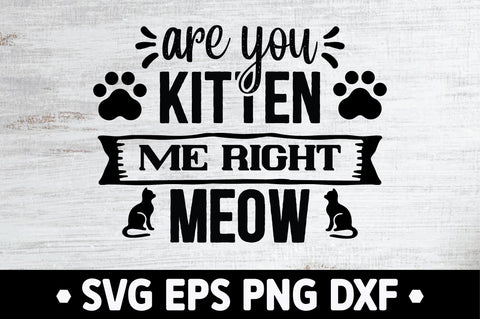 Cat SVG Bundle SVG Ariyan 