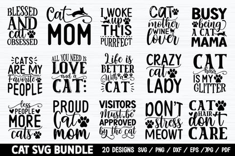 Cat SVG Bundle SVG etcify 