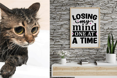 Cat Svg Bundle SVG Regulrcrative 