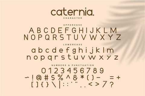 Caternia - Elegant Sans Serif Font Font Masyafi Studio 