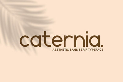 Caternia - Elegant Sans Serif Font Font Masyafi Studio 