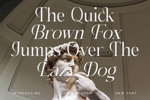 Cathiren Typeface Font Storytype Studio 