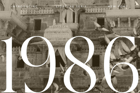 Cathiren Typeface Font Storytype Studio 