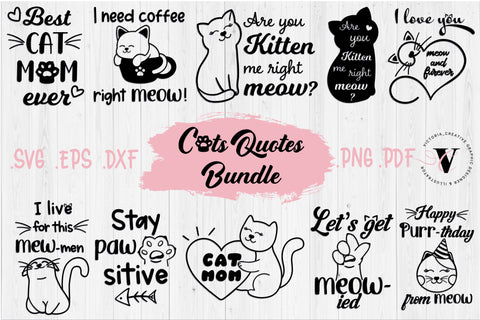 Cats quotes SVG bundle SVG Victoria.Creative 