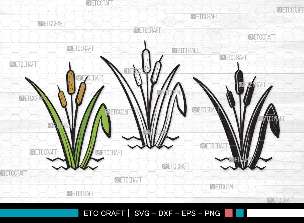 Cattail Svg Bulrush Plant Svg Cattail Flower Svg Grass Svg Cattail Plant Svg Cattail