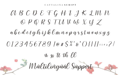 Cattalina – Beauty Font Font Good Java 