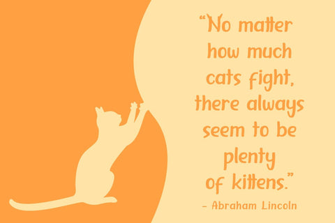 Cattino Font Madatype Studio 