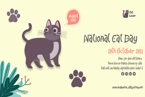 Catty Funny Font Prasetya Letter 