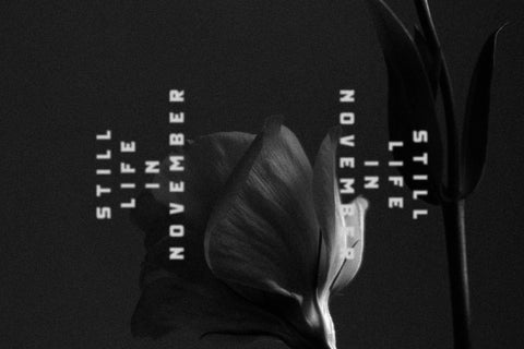 Caverson Typeface Font Storytype Studio 