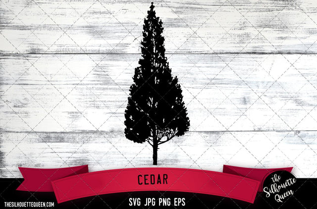 Cedar 2 SVG -Vector Art Commercial & Personal Use- Cricut,Silhouette,Cameo,Vinyl Cut SVG Loveleen Kaur 