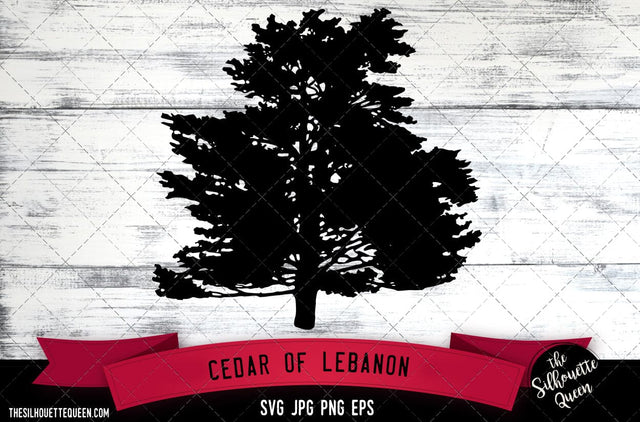 Cedar of Lebanon SVG -Vector Art Commercial & Personal Use- Cricut,Silhouette,Cameo,Vinyl Cut SVG Loveleen Kaur 