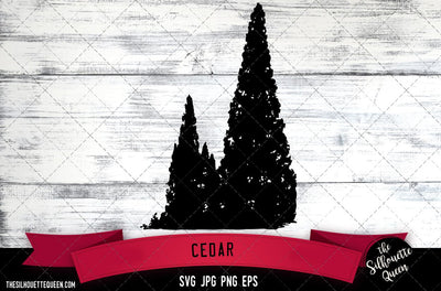 Cedar SVG -Vector Art Commercial & Personal Use- Cricut,Silhouette,Cameo,Vinyl Cut SVG Loveleen Kaur 