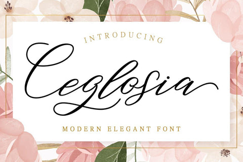 Ceglosia Font RCKY STUDIO