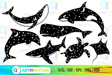 Celestial sea creature svg bundle SVG Artinrhythm shop 