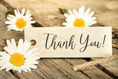 Celineharp Font Allouse.Studio 