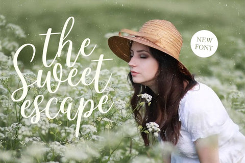 Celineharp Font Allouse.Studio 