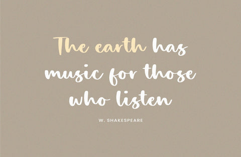 Celosia Nature Font Timur type 