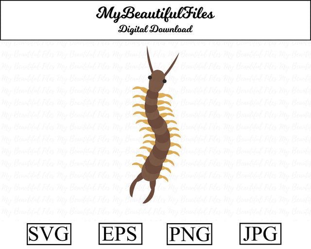 centipede - insect SVG MyBeautifulFiles 