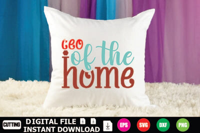 CEO Of The Home SVG Shahin alam 