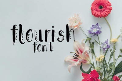 CG Flourish Font (Copy) Font Carina Gardner