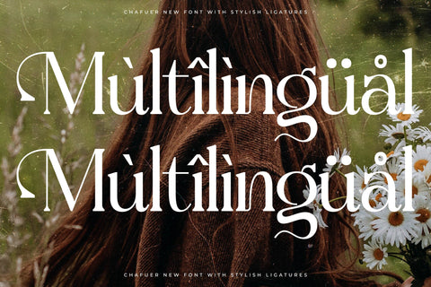 Chafuer Typeface Font Storytype Studio 