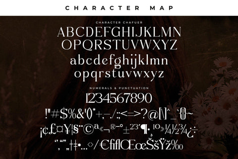 Chafuer Typeface Font Storytype Studio 