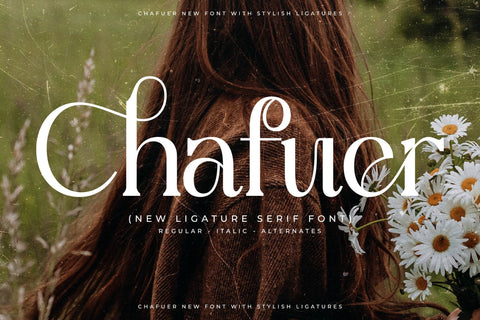 Chafuer Typeface Font Storytype Studio 