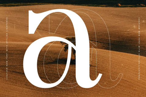 Chafuer Typeface Font Storytype Studio 