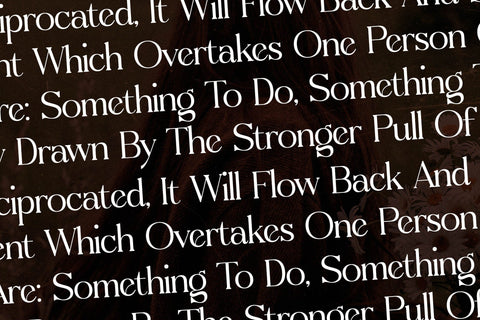 Chafuer Typeface Font Storytype Studio 