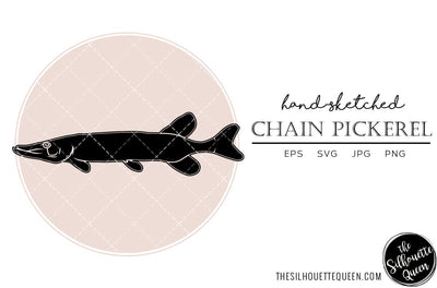 Chain Pickerel Hand sketched, hand drawn vector clipart SVG Loveleen Kaur 