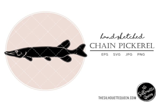 Chain Pickerel Hand sketched, hand drawn vector clipart SVG Loveleen Kaur 