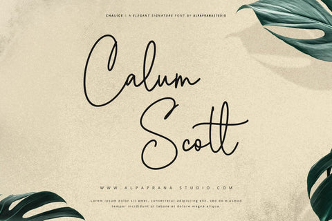 Chalice - Signature Font Font Alpaprana Studio 