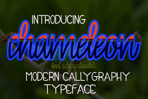 Chameleon mahyud creatif 
