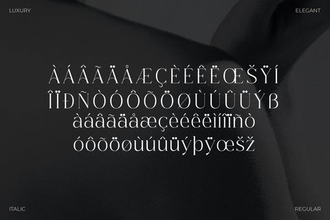 Champhin Typeface Font Storytype Studio 