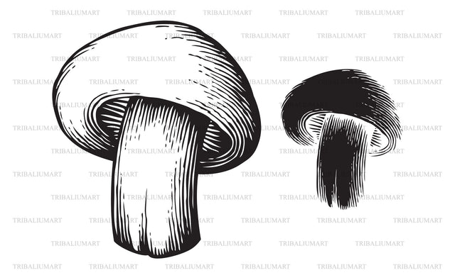 Champignon mushroom SVG TribaliumArtSF 