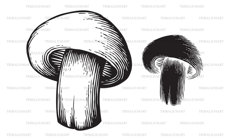 Champignon mushroom SVG TribaliumArtSF 