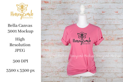 Charity Pink Bella Canvas 3001 T-Shirt Mockup, Women's Pink T-Shirt Mockup, Summer Spring Mockup Mock Up Photo Honeycomb Mockups 