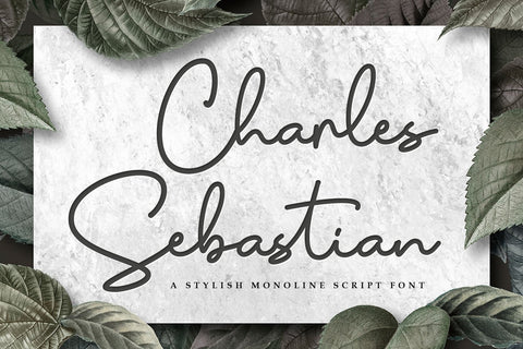 Charles Sebastian - Monoline Script Font Font Kotak Kuning Studio 