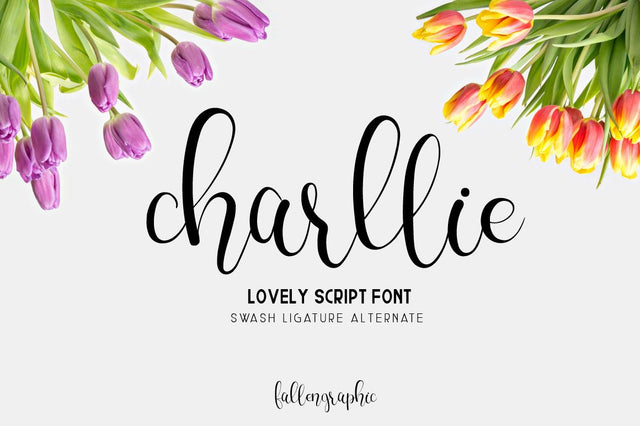 Charllie Lovely Script Font Font Fallen Graphic Studio 