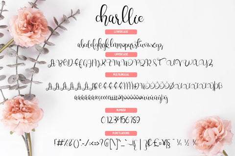 Charllie Lovely Script Font Font Fallen Graphic Studio 