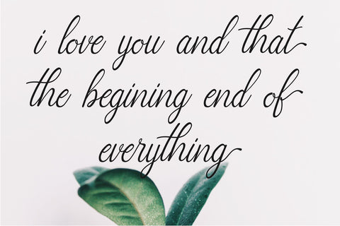 charlote script SVG Chamsae Studio 