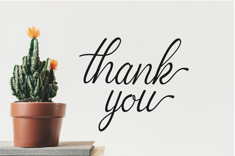 charlote script SVG Chamsae Studio 